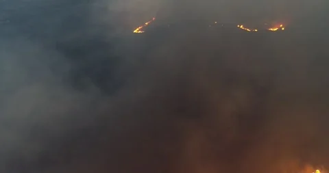 Aerial view through thick smoke of a wildfire The Concept of Pollution Stock Footage 317564647
