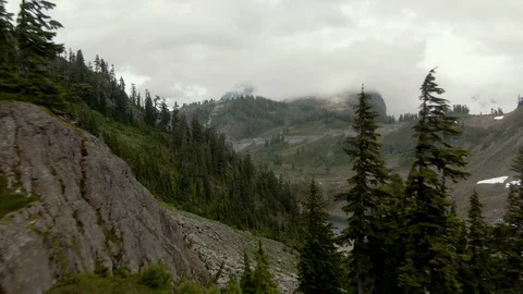 Aerial view - through the trees in a high alpine setting in the cascades Stock Footage 113820415