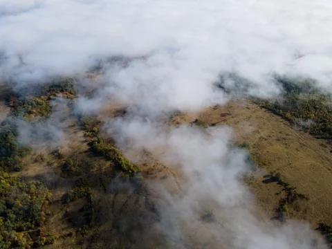 Aerial view thru the clouds of valley with trees Stock Photos