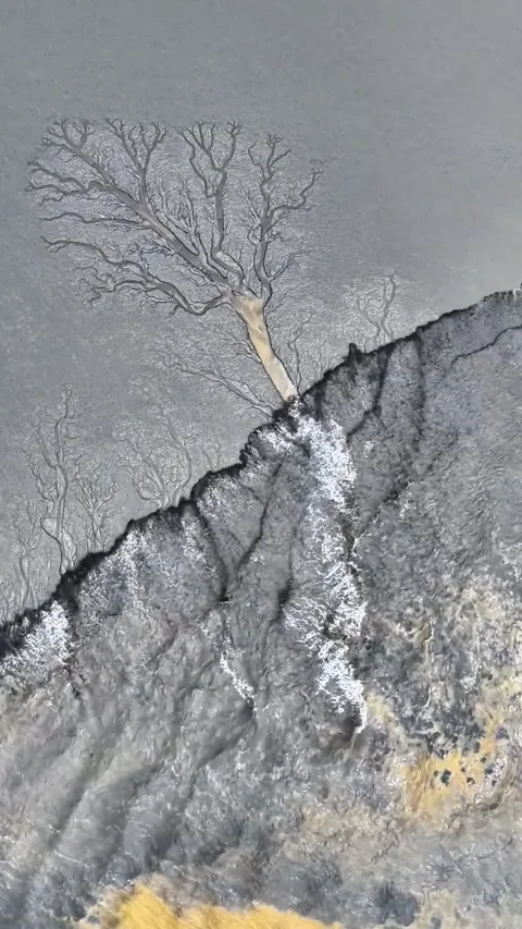 Aerial View of Tidal Bore Delta Forming Intricate Tree Patterns Qiantang River Stock Footage 342602498
