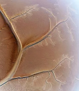 Aerial view of the tidal mudflats in the Eemsdelta, Holland Stock Photos
