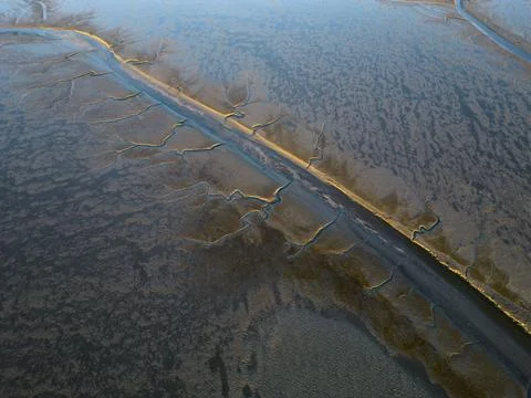 Aerial view of the tidal mudflats in the Eemsdelta, Holland Stock Photos