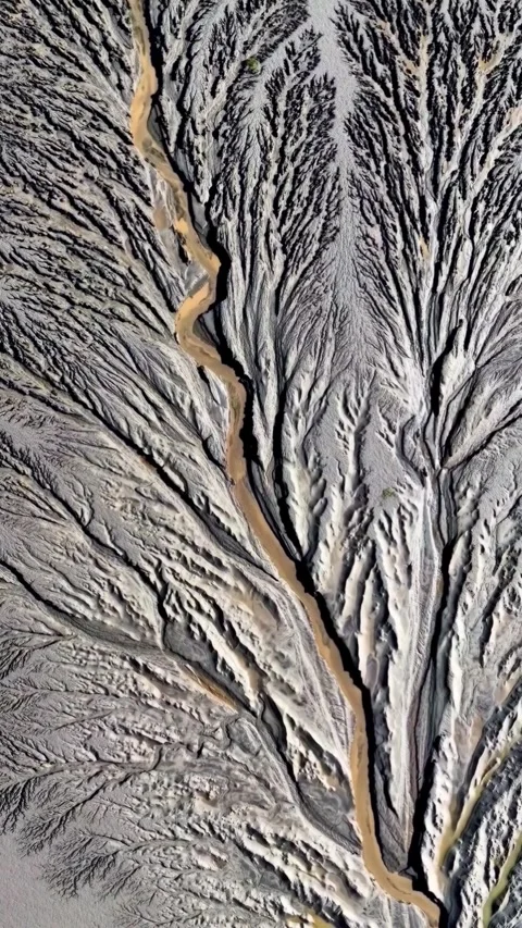 Aerial View of Tidal River Patterns and Branching Waterways in Zhejiang Chin Stock-Footage 347144128