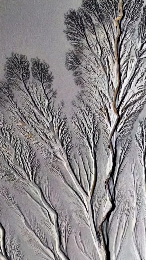 Aerial View of Tidal River Patterns and Branching Waterways in Zhejiang Chin Stock-Footage 347144146