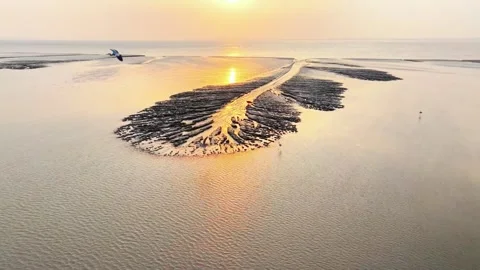 Aerial View of Tidal Tree Formation in the Qiantang River China 스톡 동영상 347110772