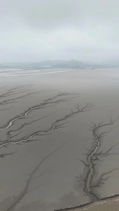 Aerial View: Tidal Tree Patterns on Qiantang River Mudflats, Zhejiang, China Stock Footage 337348505
