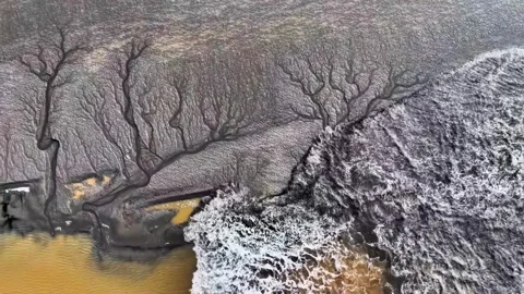 Aerial View of Tidal Tree Patterns and Waves in Qiantang River China Stockbeeldmateriaal 347110919