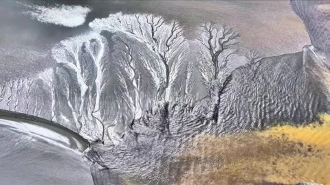 Aerial View of Tidal Tree Patterns in the Qiantang River China Видео 347111023