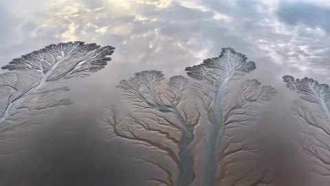 Aerial View of Tidal Tree Patterns in the Qiantang River Tide China Vídeos de archivo 347111030