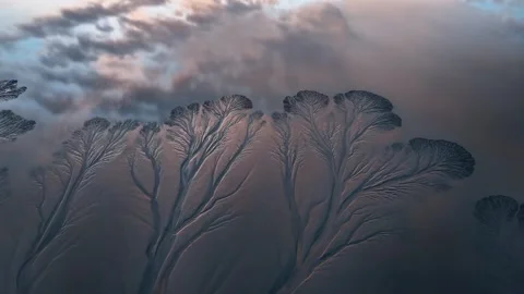 Aerial View of Tidal Tree Patterns on the Qiantang River in China Stockbeeldmateriaal 347111088