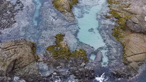 Aerial view of tide pools and rocky shoreline at low tide along the California Video stock 320164507