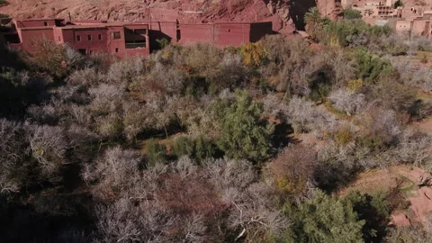 Aerial View of Tiered Mudbrick Compound from Oasis Valley to Cliff-top in Stock Footage 345936773