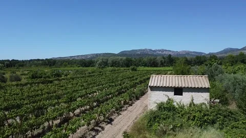 Aerial view tiled building vineyard mountains drone Stock Footage 250405163