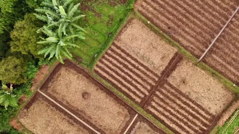 Aerial view of a tilled field ready for planting in a traditional agricultu.. 스톡 동영상 295928443