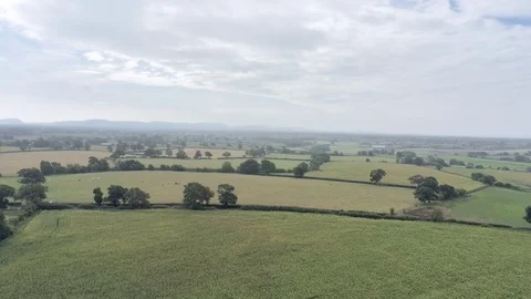 Aerial view, tilt down move. Cheshire plains and fields. Cloudy sky and haze  스톡 동영상 95539565