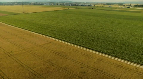 Aerial view tilt up over fields pattern 動画素材 44972920