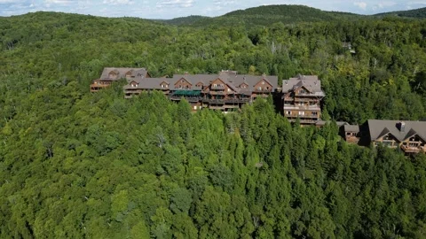 Aerial View of a Timber Lakeside Lodge Surrounded by Forest Stock-Footage 338326024