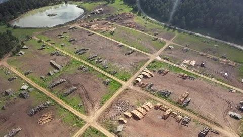 Aerial view of timber for processing at deforestation 2 Stock Footage 294078860