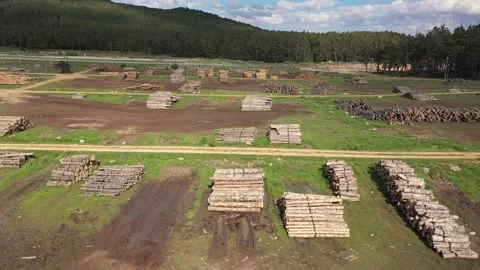 Aerial view of timber for processing at deforestation 3 Stock Footage 294078868