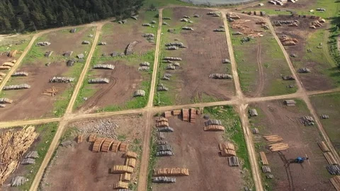 Aerial view of timber for processing at deforestation Stock Footage 294079119