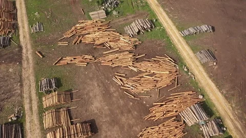Aerial view of timber for processing at sawmill plant for wood production al Stock Footage 294078796
