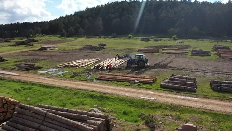 Aerial view of timber for processing at sawmill plant for wood production al Stock Footage 294079225