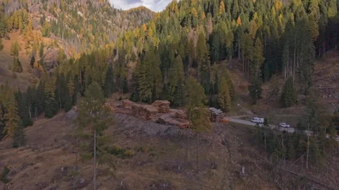 Aerial view of timber stacks in alpine forest, Dolomites, Italy Stock Footage 321600076