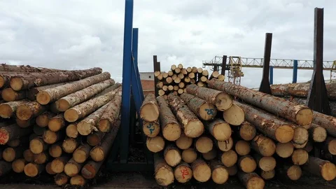 Aerial view of timber in storage for processing at sawmill plant for wood Stock Footage 127113815