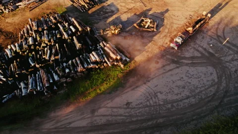 Aerial view of a timber yard with stacked logs and a truck on a dirt road during Vídeos de archivo 281781415