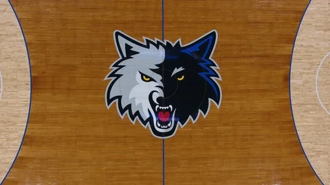 Aerial View of Timberwolves Logo Inside Target Center - Minneapolis Stock Footage 100142652