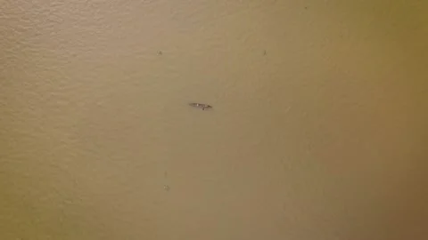 Aerial view of a tiny indigenous canoe cruising in the middle of the Stock Footage 145624861