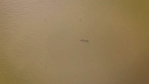 Aerial view of a tiny indigenous canoe cruising the Orinoco River Stock Footage 145625236