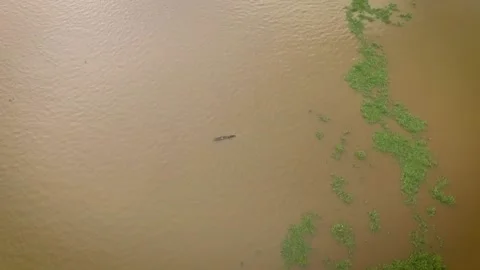 Aerial view of a tiny indigenous canoe cruising the Orinoco River between Stock Footage 145625391