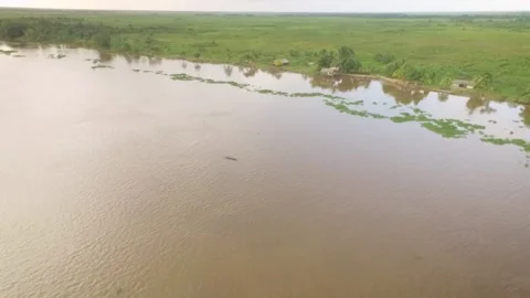 Aerial view of a tiny indigenous canoe cruising the Orinoco River with Stock Footage 145625435