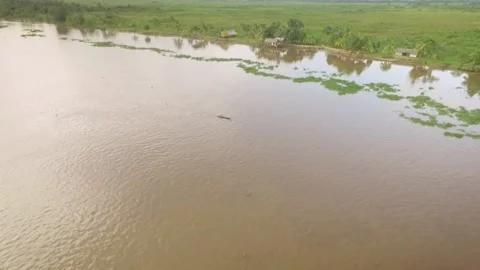 Aerial view of a tiny indigenous canoe floating in the Orinoco River with Stock Footage 145625498