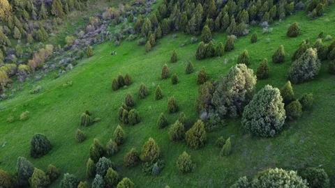 Aerial View of Tiny People Resting on Green Mountain Meadow Video stock 331654110