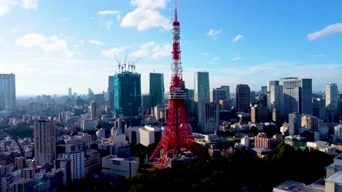 The aerial view of Tokyo Stock Footage 162448477