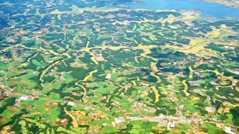 Aerial view of Tokyo on the plane Stock Footage 70481404