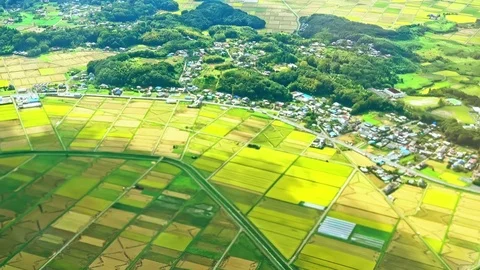Aerial view of Tokyo on the plane Stock Footage 70481791