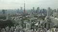 Aerial View of Tokyo Tower in Japan, Tokyo Skyline, Cityscape, Skyscrapers HD Footage
