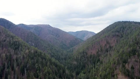 Aerial View of Tomasovsky View, Slovak Paradise Stock Footage 284101796