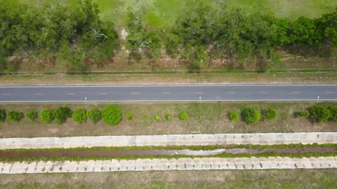 Aerial view Top-down green nature public park. Way under nature green tree.	 Stock Footage 172390970