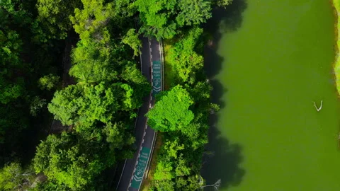 Aerial view Top-down green nature public park. Bike cycle way under green tree.	 Stock Footage 204960153