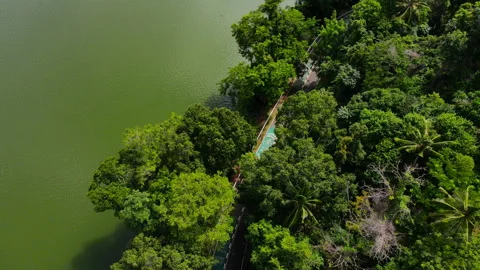Aerial view Top-down green nature public park. Bike cycle way under green tree.	 Stock Footage 204960357