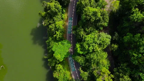 Aerial view Top-down green nature public park. Bike cycle way under green tree.	 Stock Footage 204960415