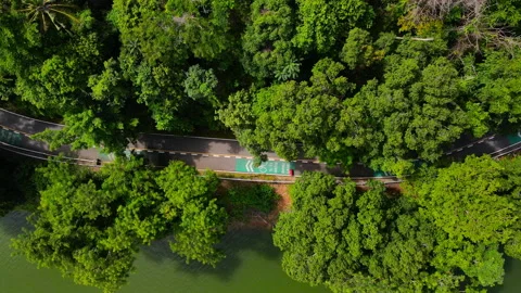 Aerial view Top-down green nature public park. Bike cycle way under green tree.	 Stock Footage 204960472