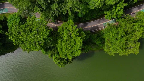 Aerial view Top-down green nature public park. Bike cycle way under green tree.	 Stock Footage 204960557