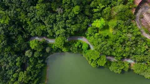 Aerial view Top-down green nature public park. Bike cycle way under green tree.	 Stock Footage 204960663