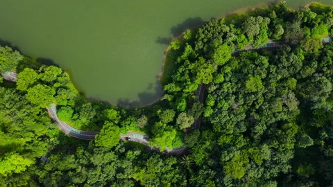 Aerial view Top-down green nature public park. Bike cycle way under green tree.	 Stock Footage 204960758