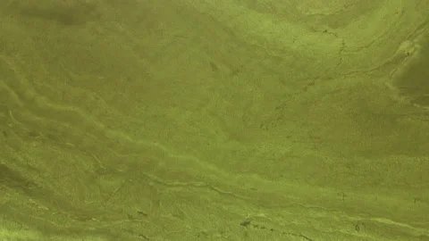 Aerial view from top down from a high altitude on the river bloom texture of Stock Footage 177621267